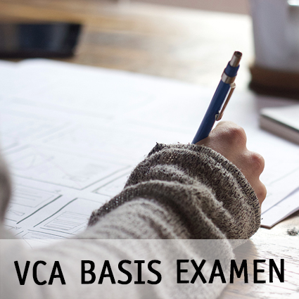 Examen VCA Basisveiligheid (B-VCA) Nederlands